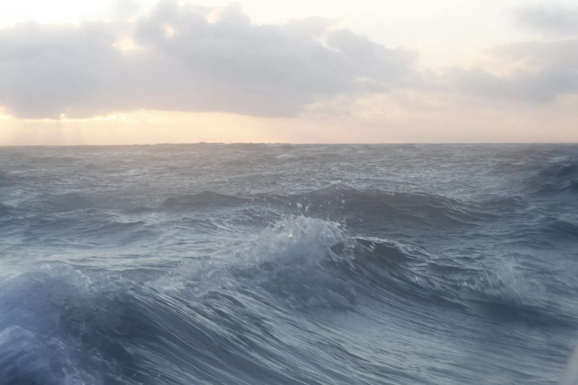 Claire Astigarraga - artiste plasticienne, sérigraphe, dessinatrice et navigatrice.