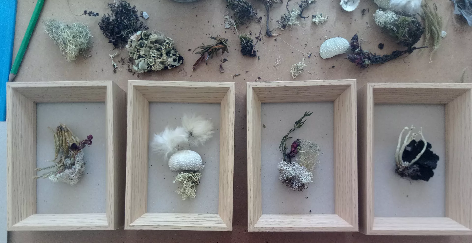 Claire Astigarraga - artiste plasticienne, sérigraphe, dessinatrice et navigatrice.