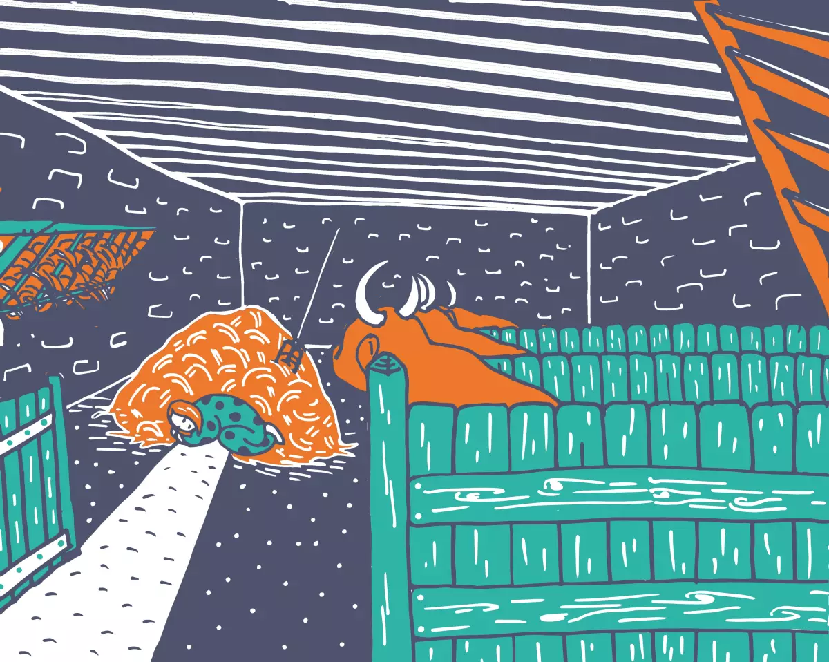 Claire Astigarraga - artiste plasticienne, sérigraphe, dessinatrice et navigatrice.