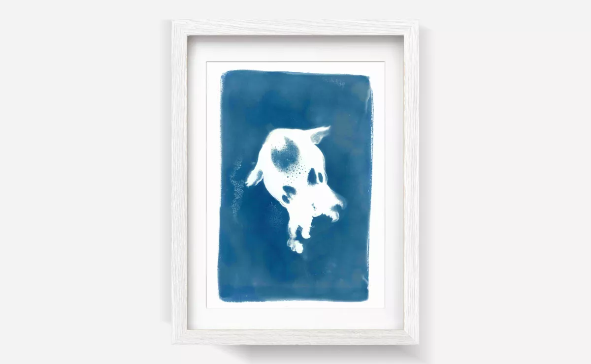 Claire Astigarraga - artiste plasticienne, sérigraphe, dessinatrice et navigatrice.