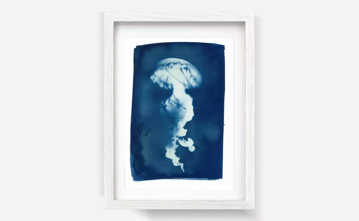 Claire Astigarraga - artiste plasticienne, sérigraphe, dessinatrice et navigatrice.