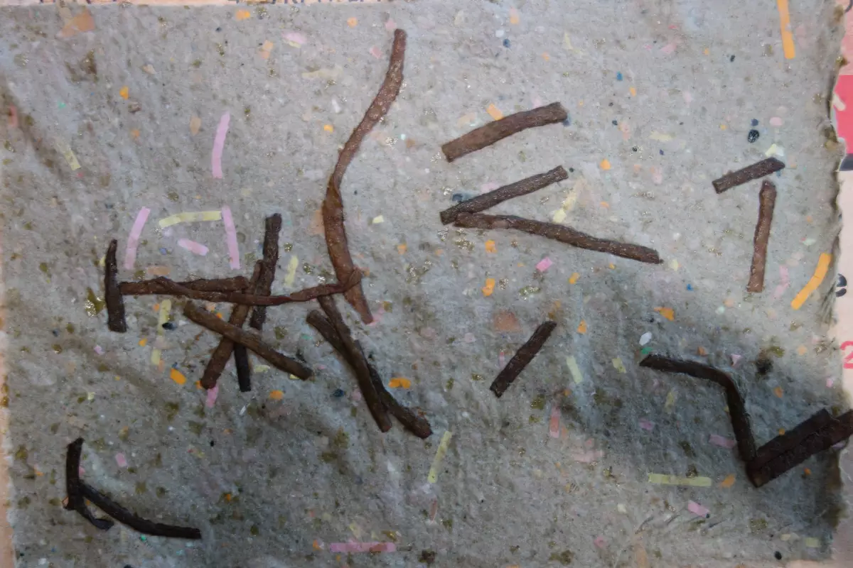 Claire Astigarraga - artiste plasticienne, sérigraphe, dessinatrice et navigatrice.