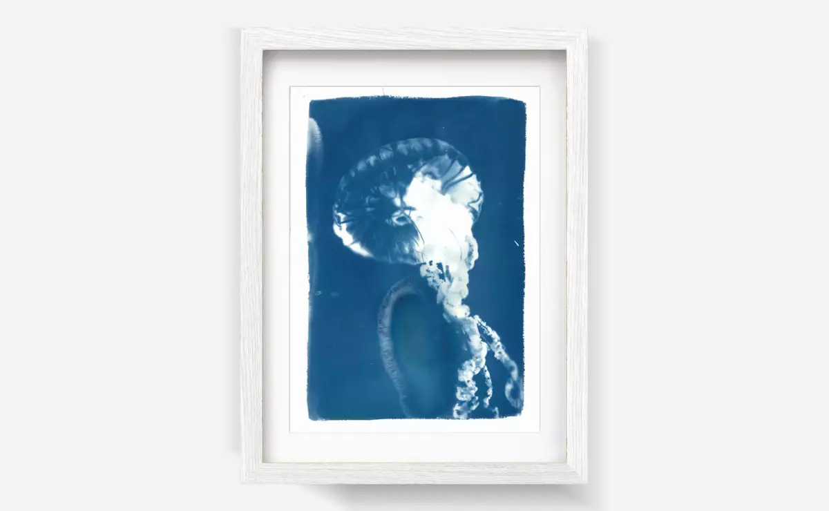 Claire Astigarraga - artiste plasticienne, sérigraphe, dessinatrice et navigatrice.