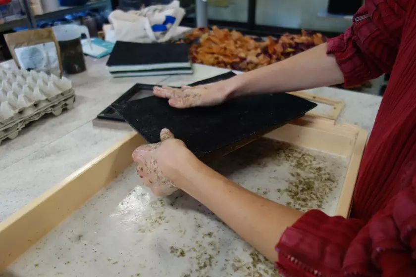 Claire Astigarraga - artiste plasticienne, sérigraphe, dessinatrice et navigatrice.