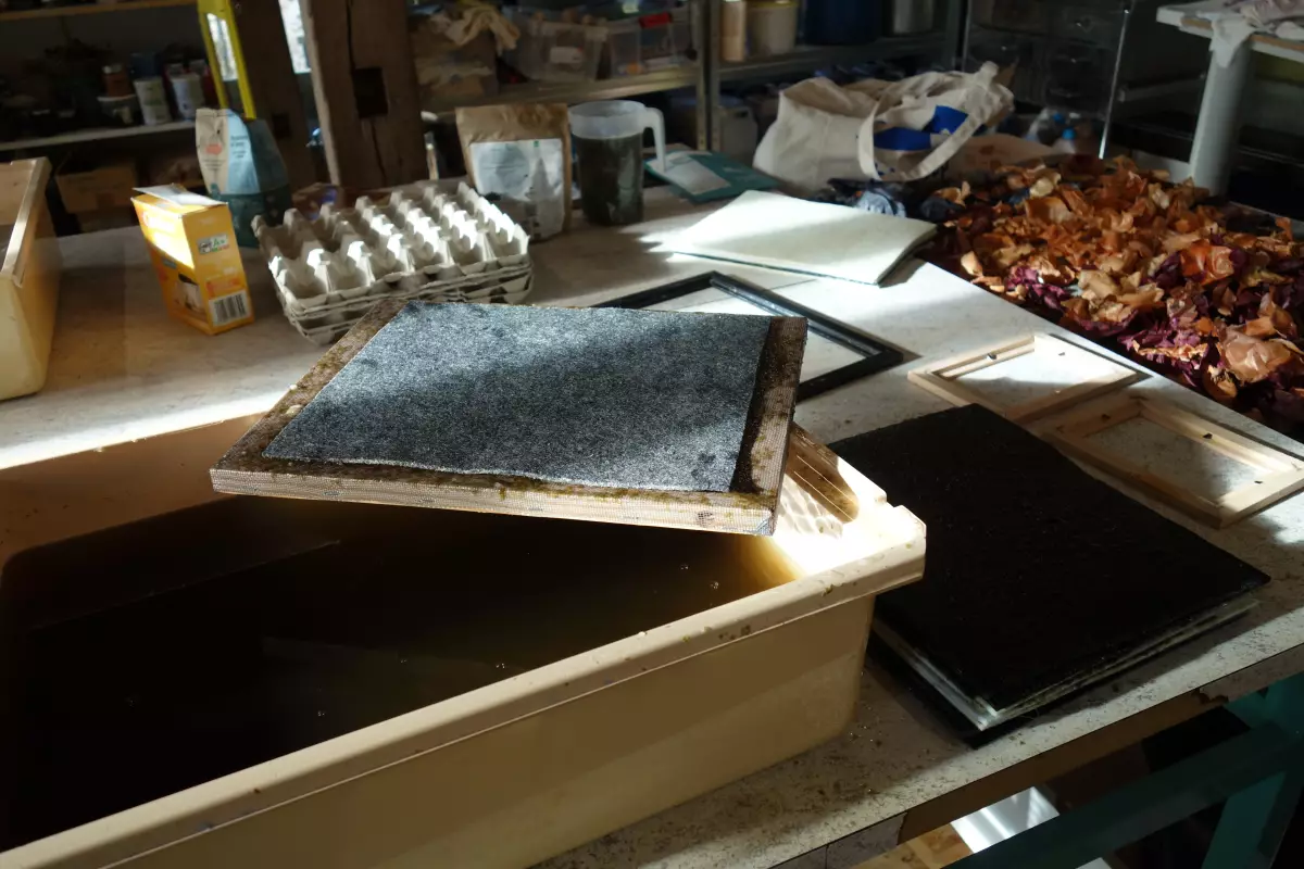 Claire Astigarraga - artiste plasticienne, sérigraphe, dessinatrice et navigatrice.