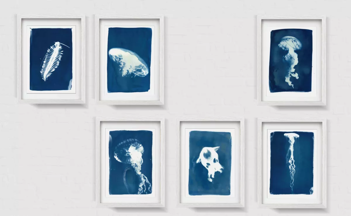 Claire Astigarraga - artiste plasticienne, sérigraphe, dessinatrice et navigatrice.