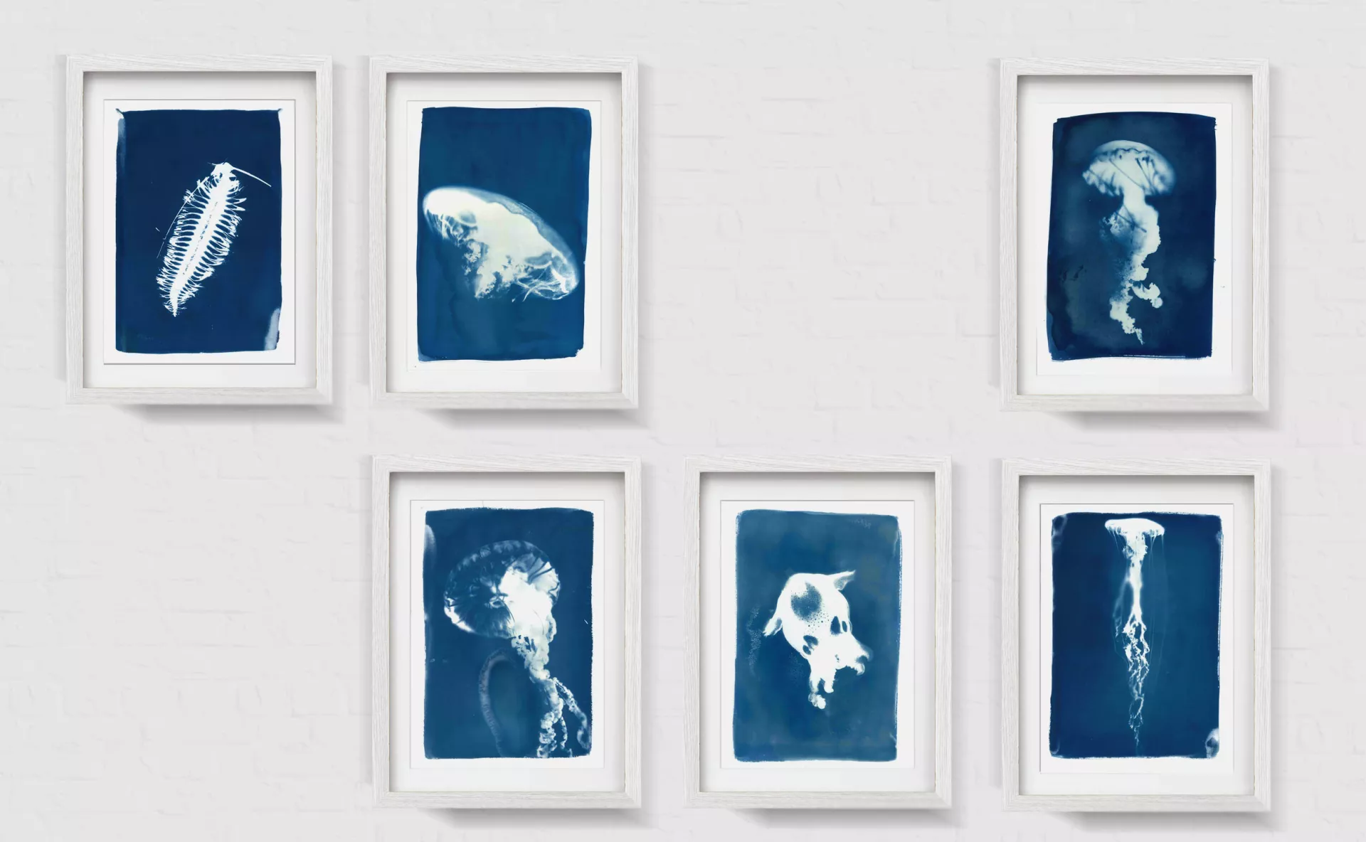 Claire Astigarraga - artiste plasticienne, sérigraphe, dessinatrice et navigatrice.