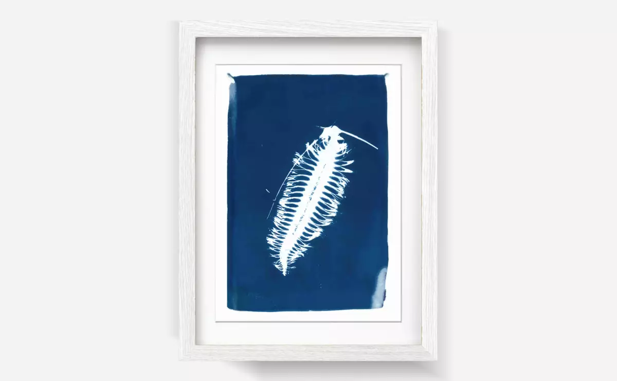 Claire Astigarraga - artiste plasticienne, sérigraphe, dessinatrice et navigatrice.