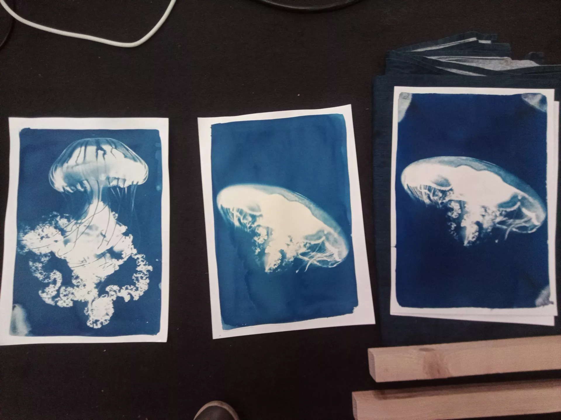 Claire Astigarraga - artiste plasticienne, sérigraphe, dessinatrice et navigatrice.