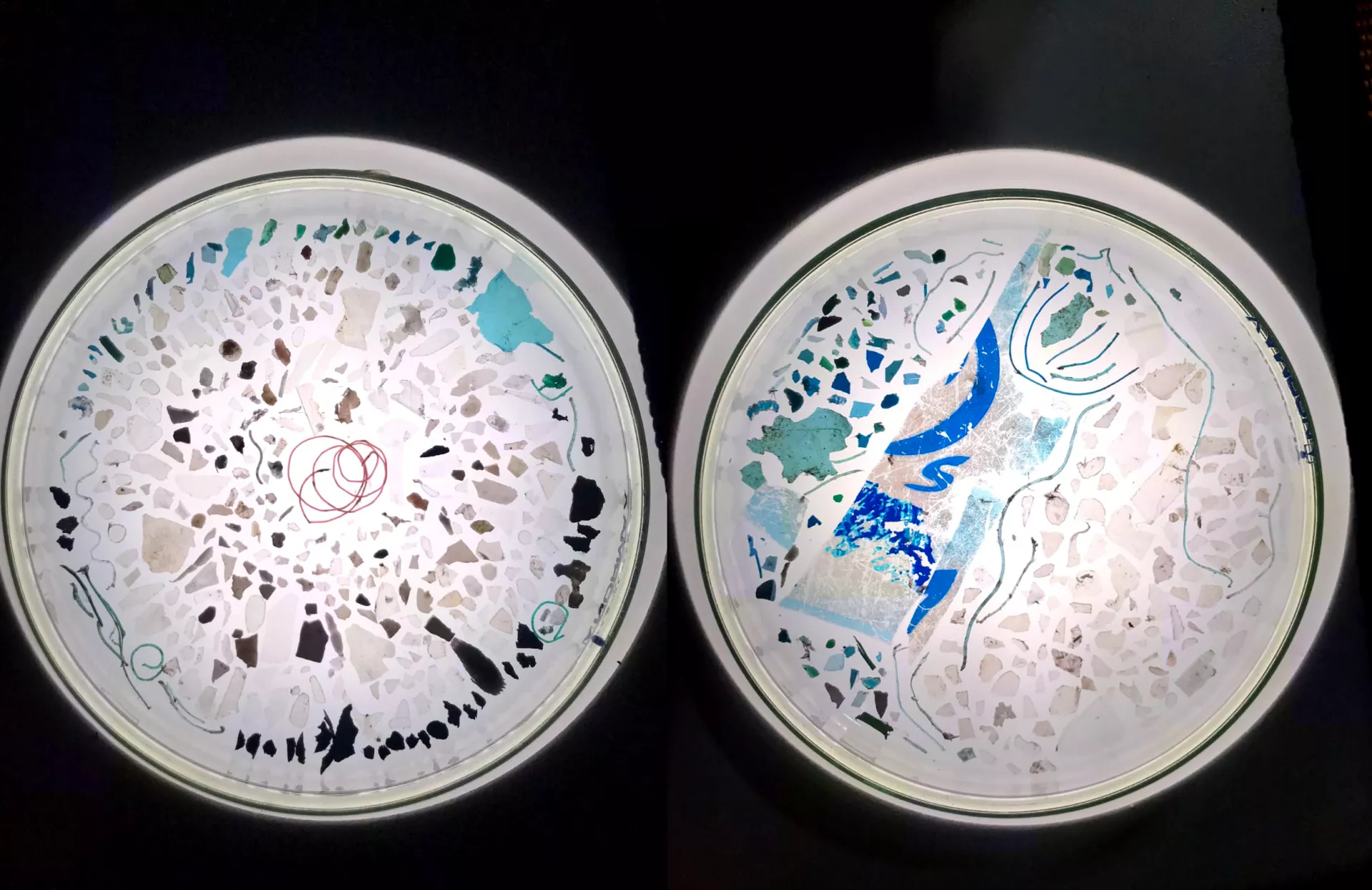 Claire Astigarraga - artiste plasticienne, sérigraphe, dessinatrice et navigatrice.