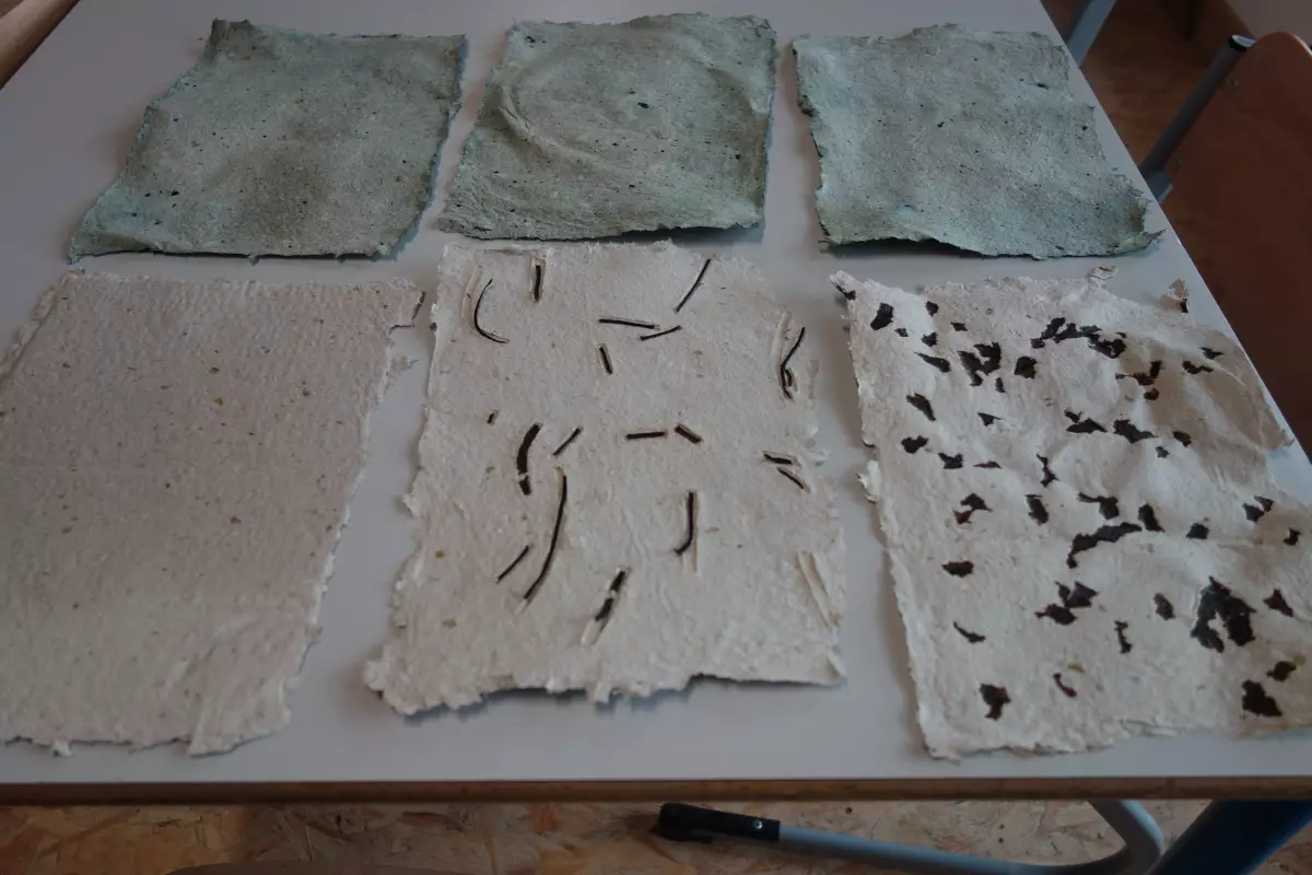 Claire Astigarraga - artiste plasticienne, sérigraphe, dessinatrice et navigatrice.