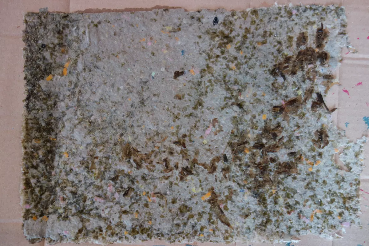 Claire Astigarraga - artiste plasticienne, sérigraphe, dessinatrice et navigatrice.