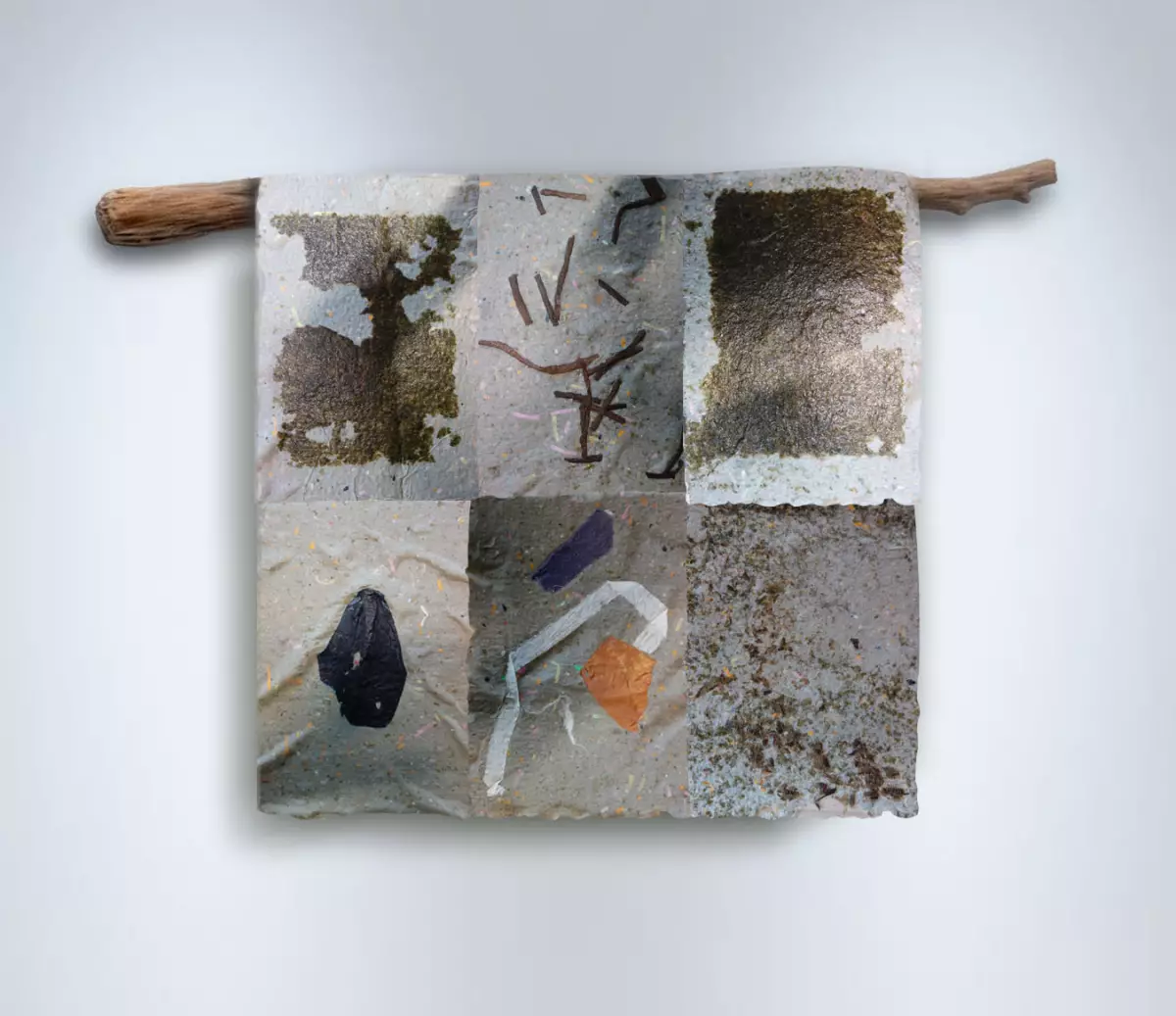 Claire Astigarraga - artiste plasticienne, sérigraphe, dessinatrice et navigatrice.