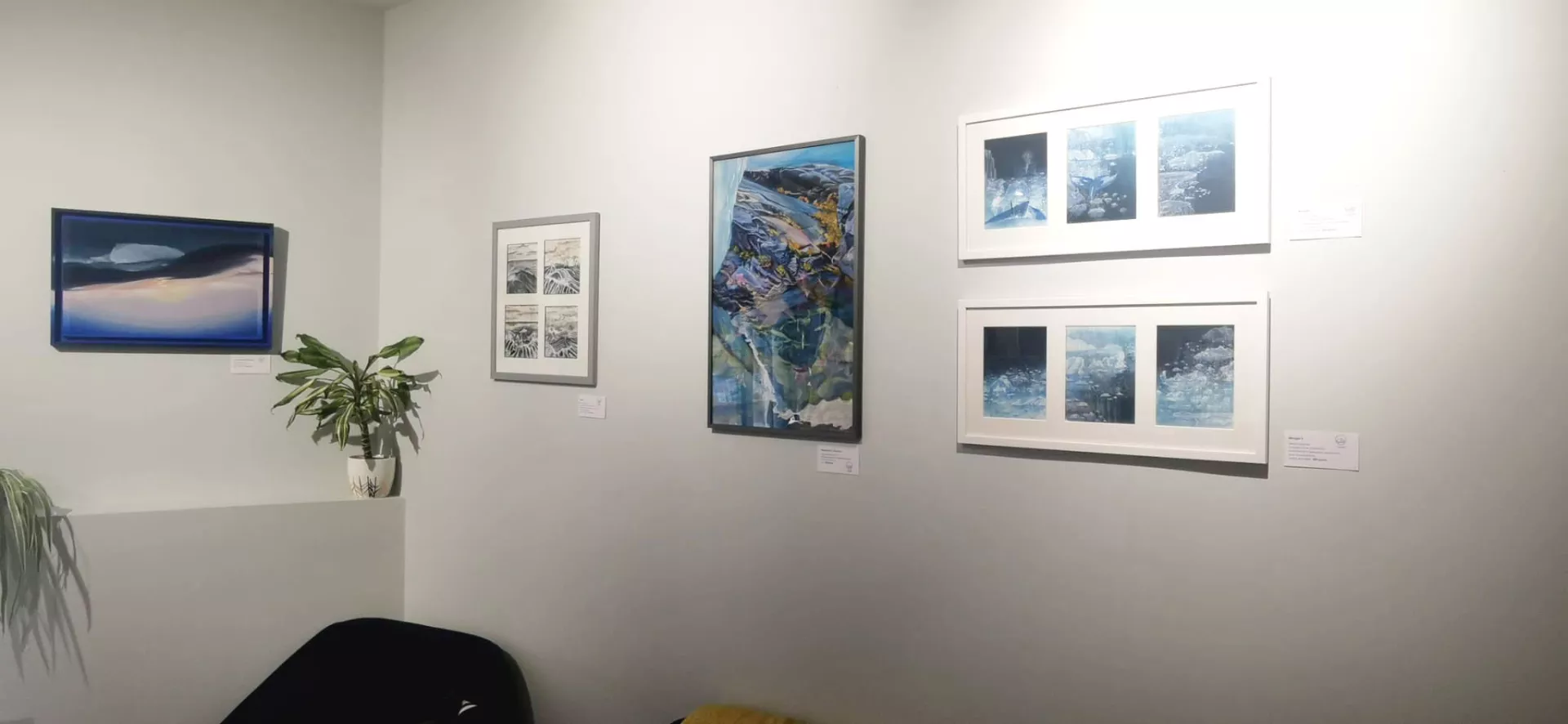 Claire Astigarraga - artiste plasticienne, sérigraphe, dessinatrice et navigatrice.