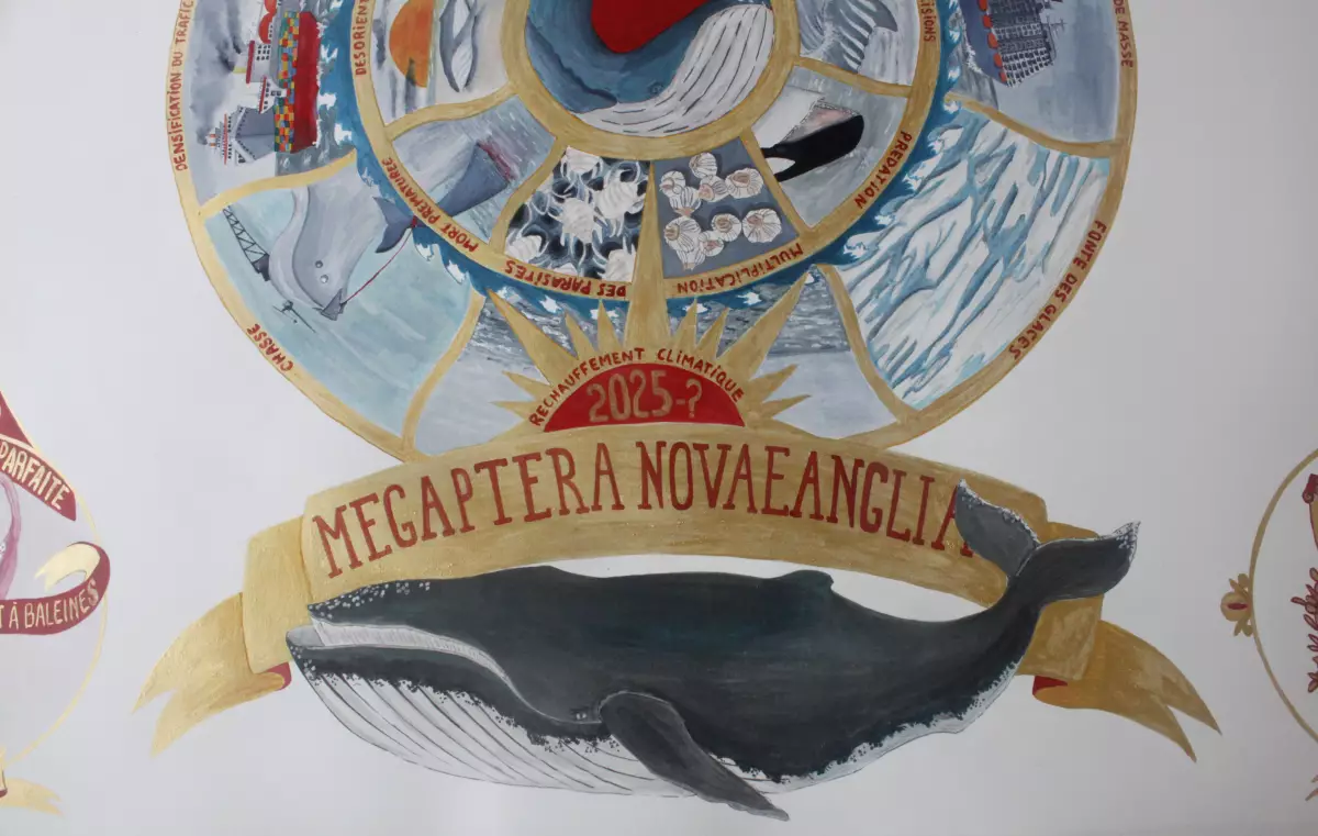 Claire Astigarraga - artiste plasticienne, sérigraphe, dessinatrice et navigatrice.