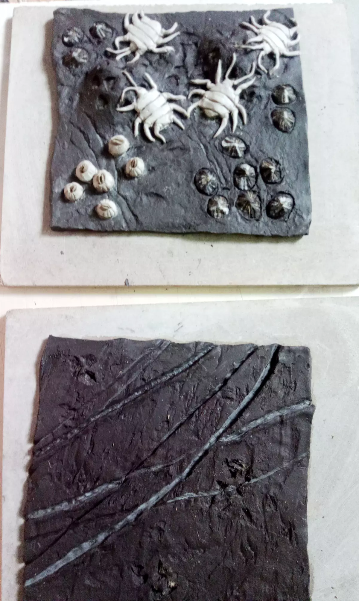 Claire Astigarraga - artiste plasticienne, sérigraphe, dessinatrice et navigatrice.