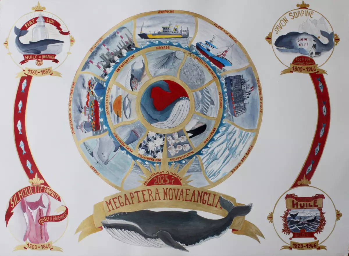 Claire Astigarraga - artiste plasticienne, sérigraphe, dessinatrice et navigatrice.