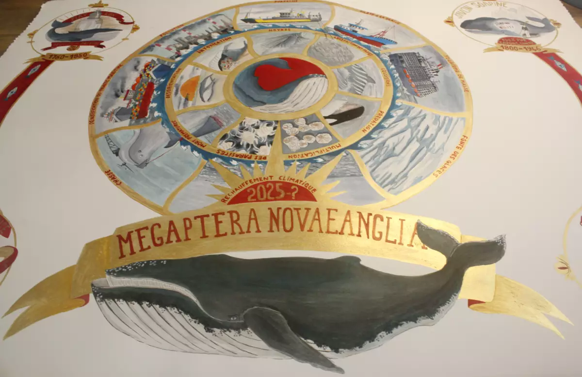 Claire Astigarraga - artiste plasticienne, sérigraphe, dessinatrice et navigatrice.