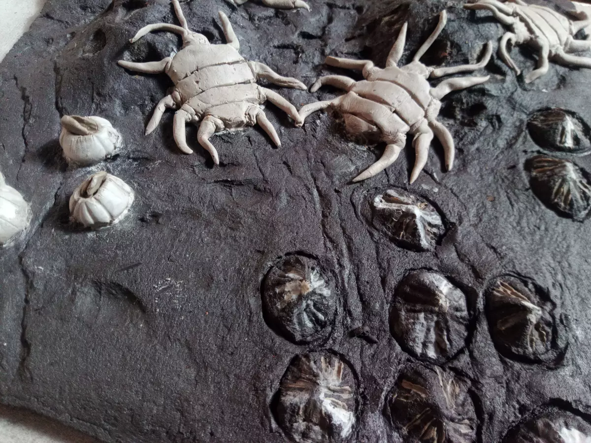 Claire Astigarraga - artiste plasticienne, sérigraphe, dessinatrice et navigatrice.