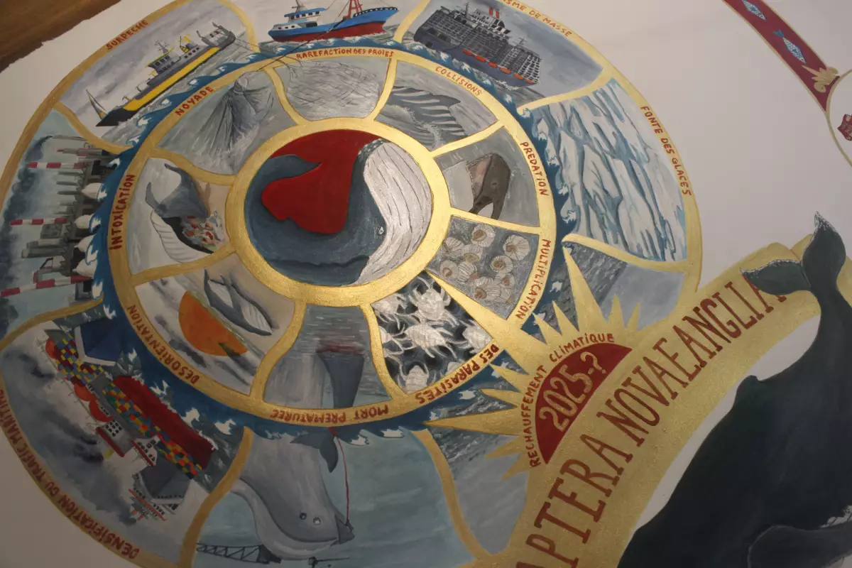 Claire Astigarraga - artiste plasticienne, sérigraphe, dessinatrice et navigatrice.