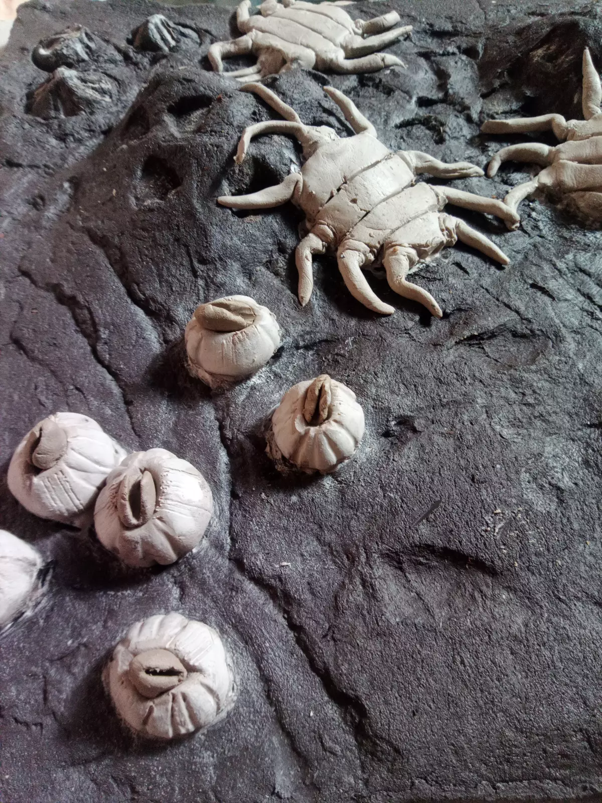 Claire Astigarraga - artiste plasticienne, sérigraphe, dessinatrice et navigatrice.