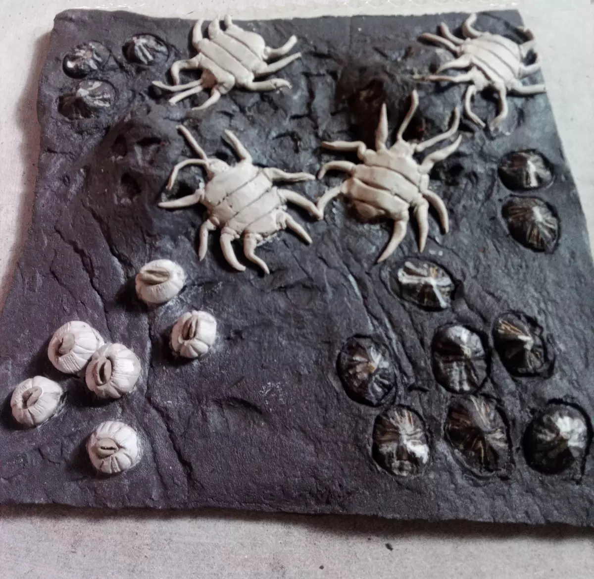 Claire Astigarraga - artiste plasticienne, sérigraphe, dessinatrice et navigatrice.