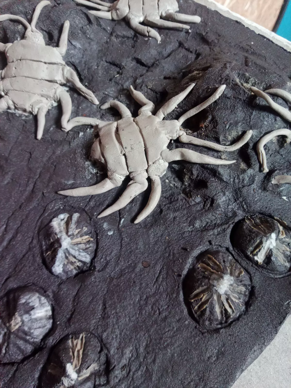 Claire Astigarraga - artiste plasticienne, sérigraphe, dessinatrice et navigatrice.