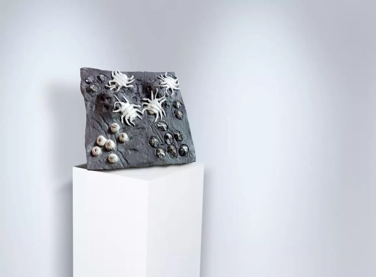 Claire Astigarraga - artiste plasticienne, sérigraphe, dessinatrice et navigatrice.