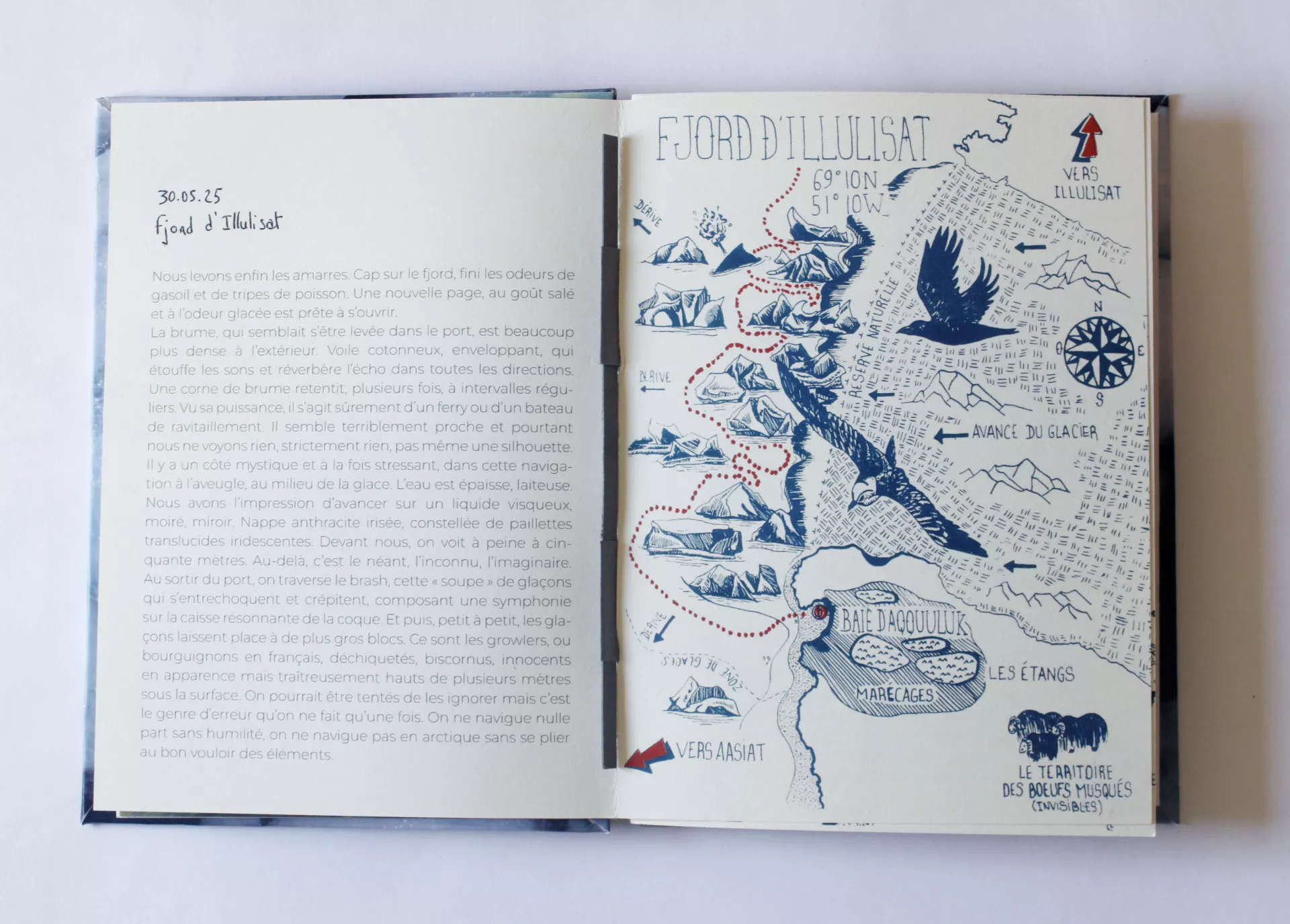 Claire Astigarraga - artiste plasticienne, sérigraphe, dessinatrice et navigatrice.