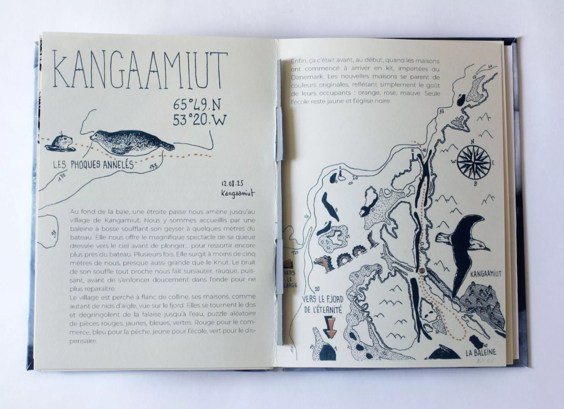 Claire Astigarraga - artiste plasticienne, sérigraphe, dessinatrice et navigatrice.