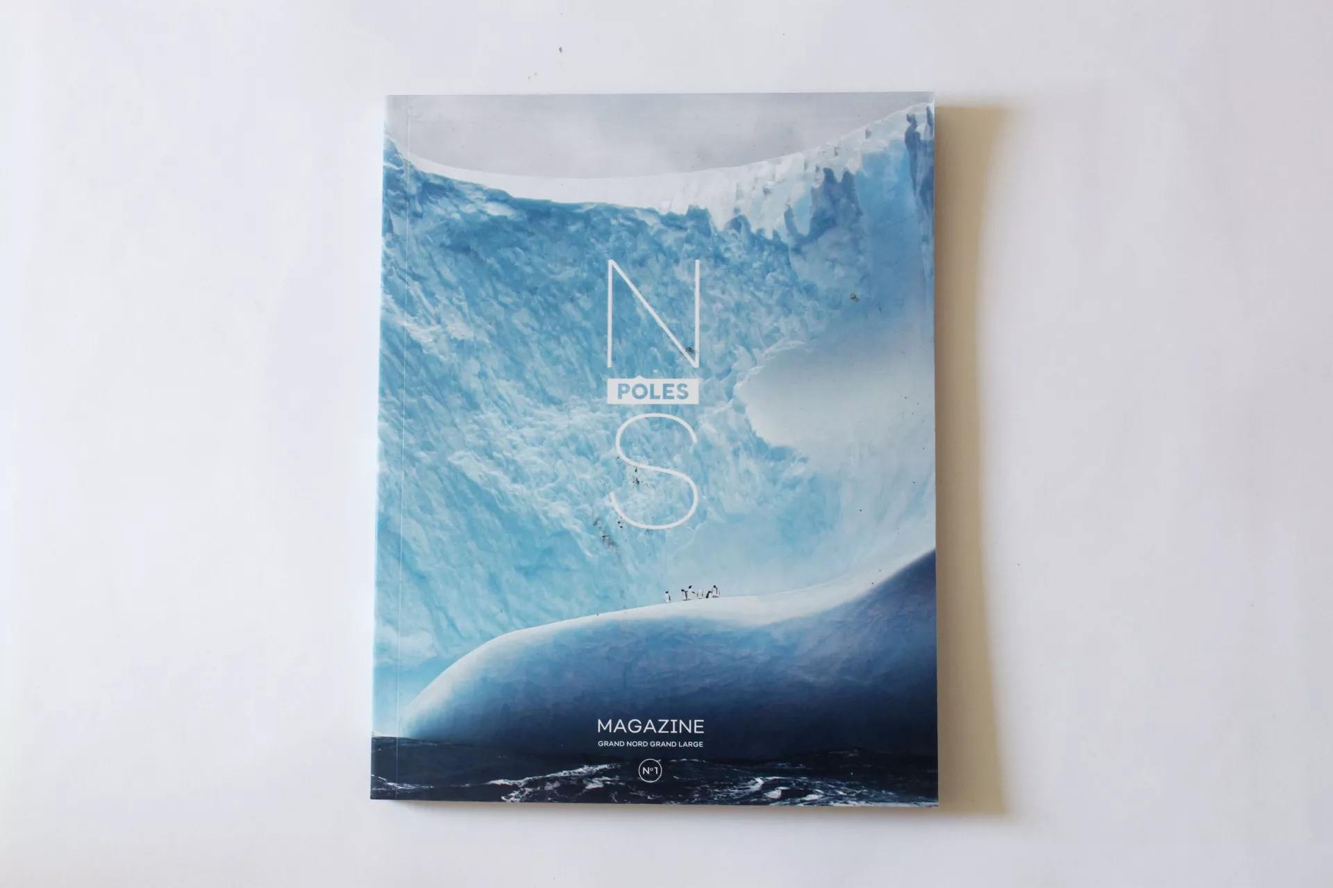 Claire Astigarraga - artiste plasticienne, sérigraphe, dessinatrice et navigatrice.