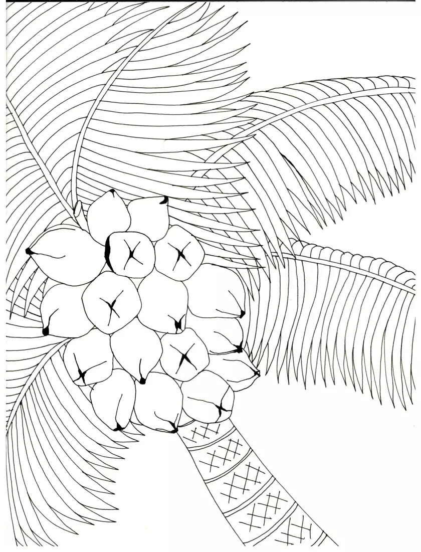 Claire Astigarraga - artiste plasticienne, sérigraphe, dessinatrice et navigatrice.