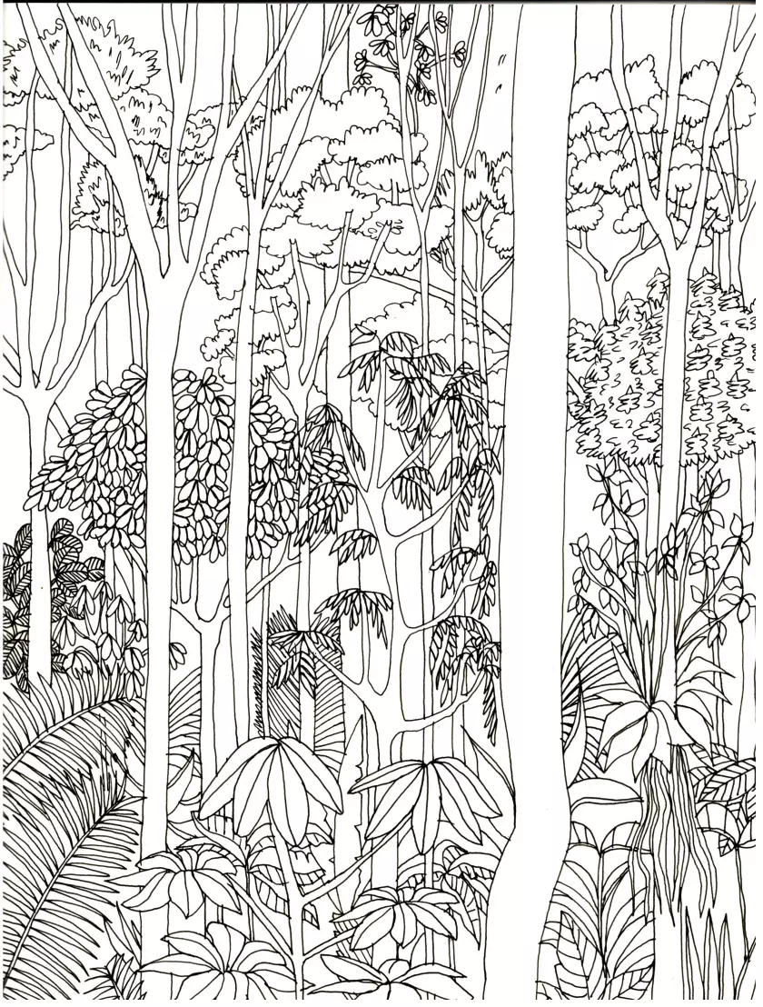 Claire Astigarraga - artiste plasticienne, sérigraphe, dessinatrice et navigatrice.