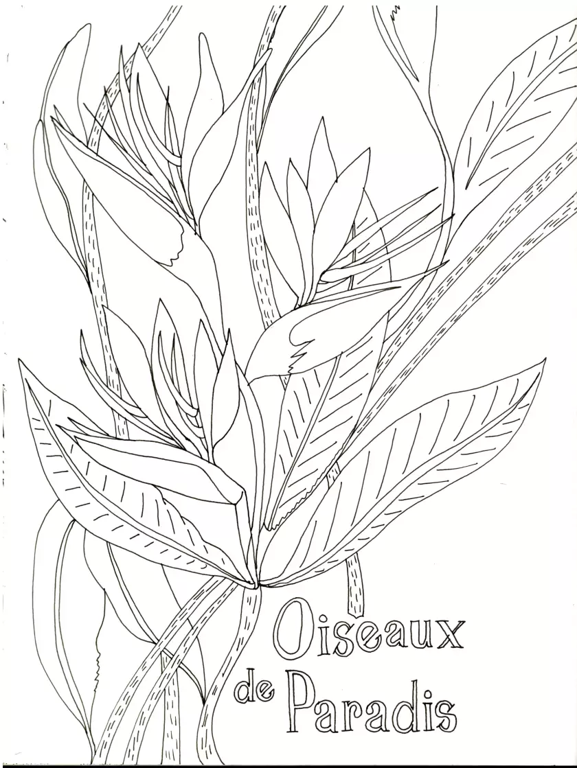 Claire Astigarraga - artiste plasticienne, sérigraphe, dessinatrice et navigatrice.