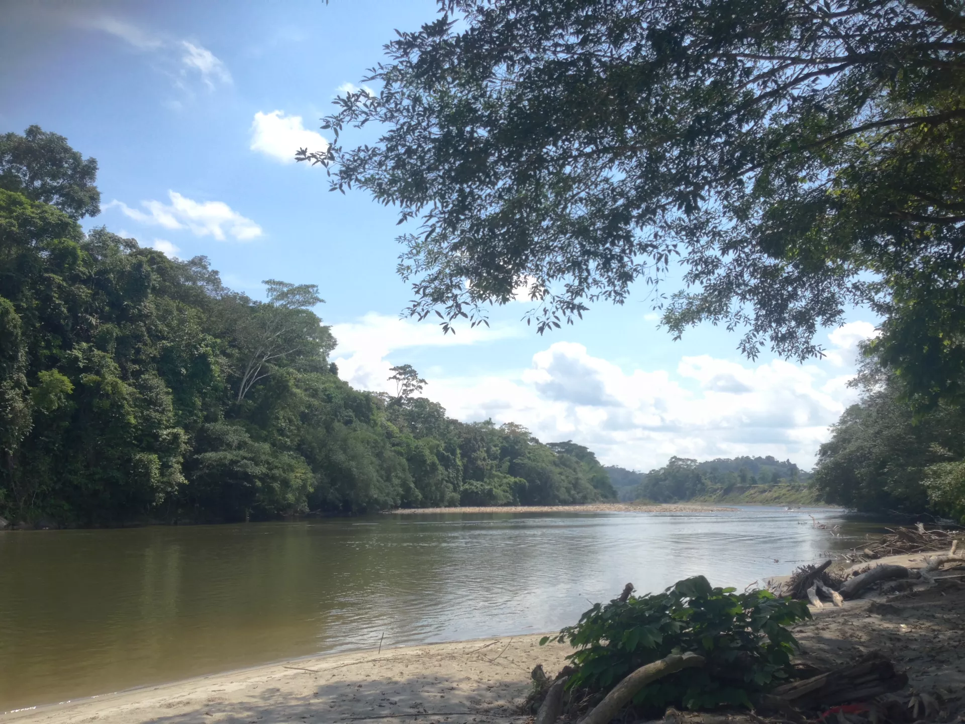 Claire Astigarraga - artiste plasticienne, sérigraphe, dessinatrice et navigatrice.