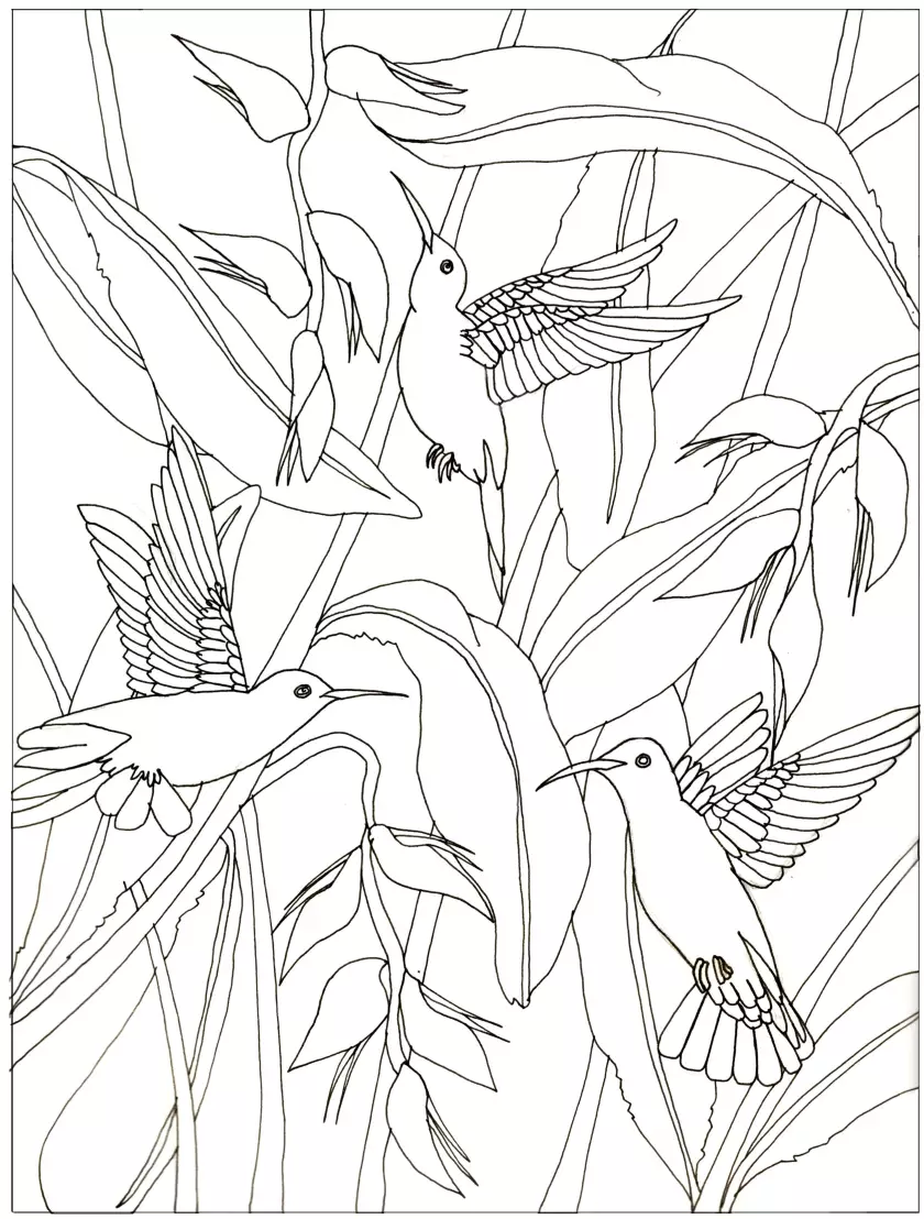 Claire Astigarraga - artiste plasticienne, sérigraphe, dessinatrice et navigatrice.