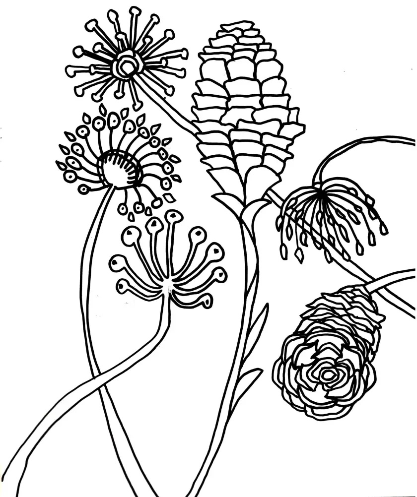 Claire Astigarraga - artiste plasticienne, sérigraphe, dessinatrice et navigatrice.