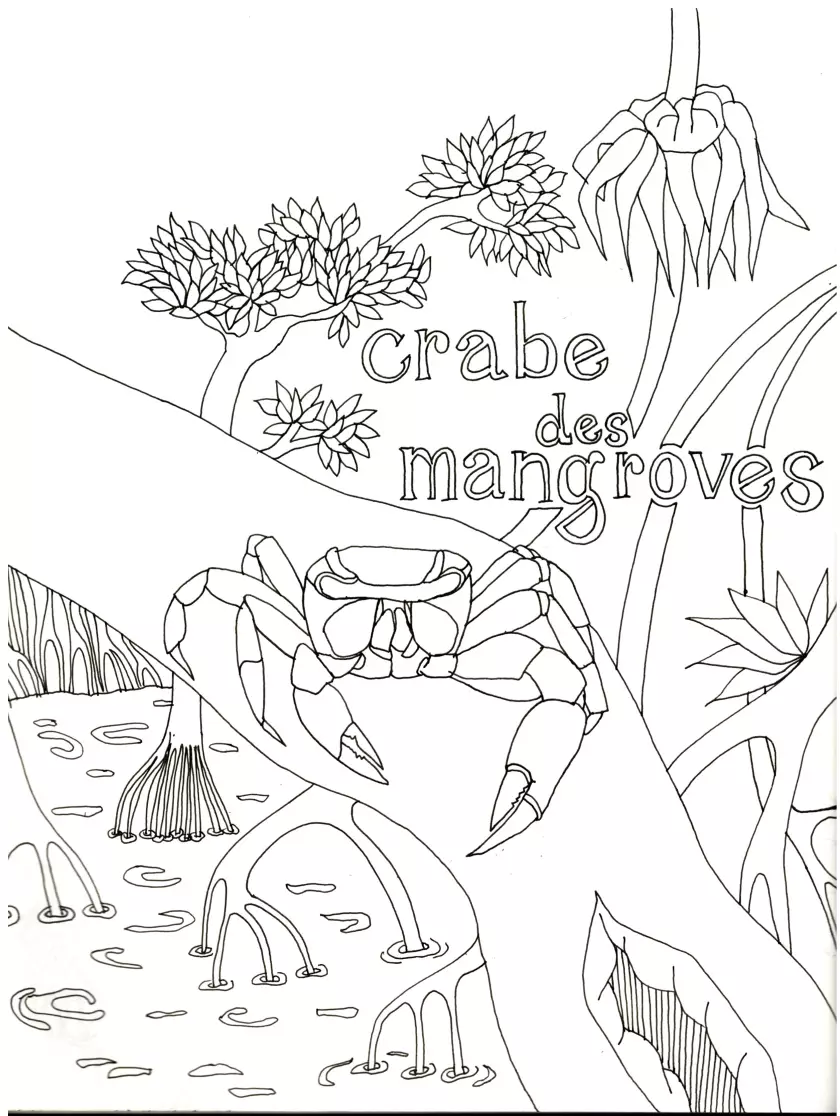 Claire Astigarraga - artiste plasticienne, sérigraphe, dessinatrice et navigatrice.