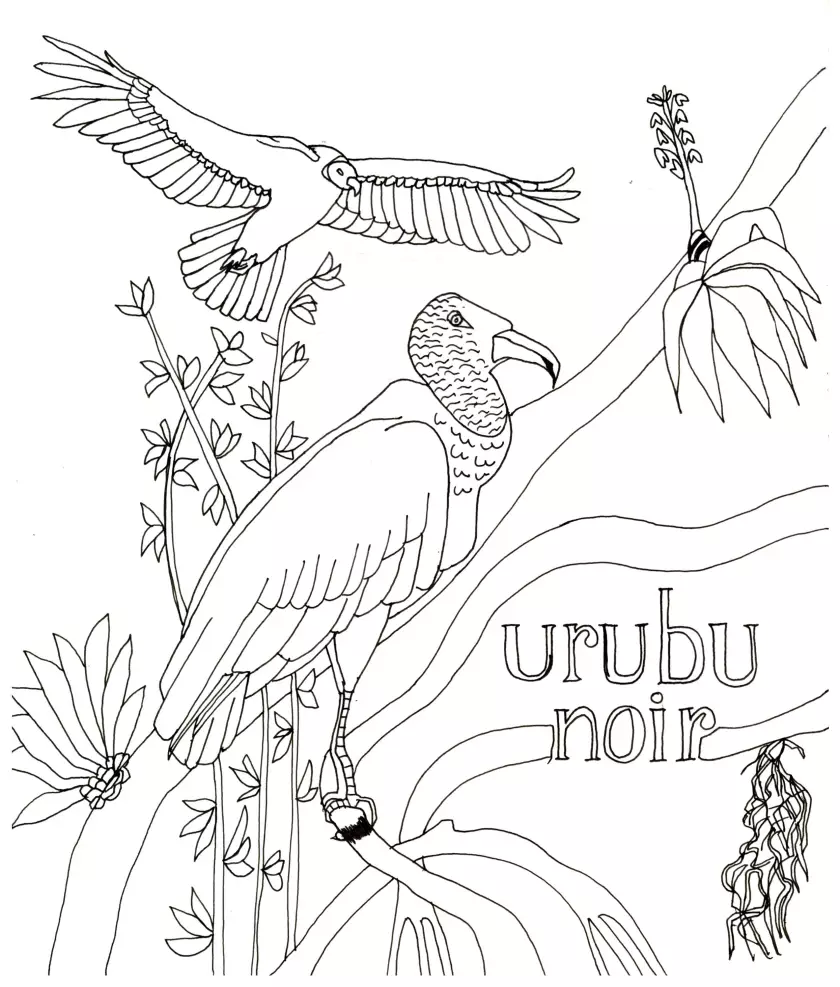 Claire Astigarraga - artiste plasticienne, sérigraphe, dessinatrice et navigatrice.