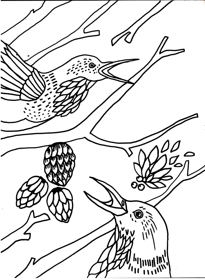 Claire Astigarraga - artiste plasticienne, sérigraphe, dessinatrice et navigatrice.