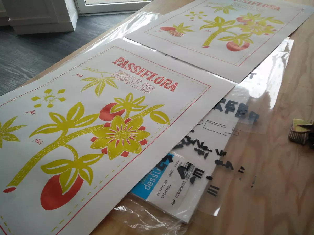 Claire Astigarraga - artiste plasticienne, sérigraphe, dessinatrice et navigatrice.