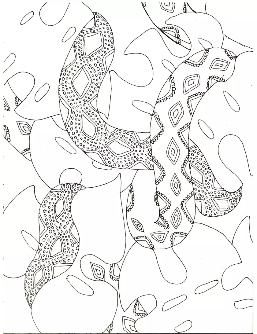 Claire Astigarraga - artiste plasticienne, sérigraphe, dessinatrice et navigatrice.