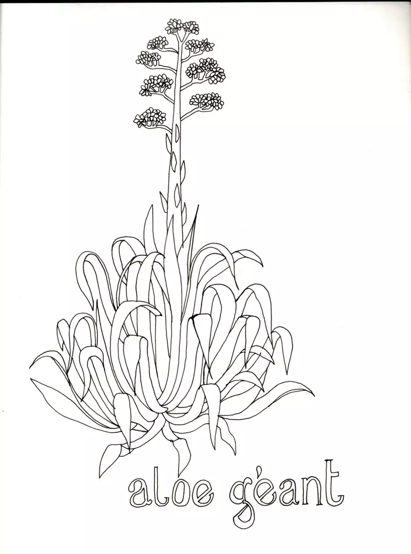 Claire Astigarraga - artiste plasticienne, sérigraphe, dessinatrice et navigatrice.