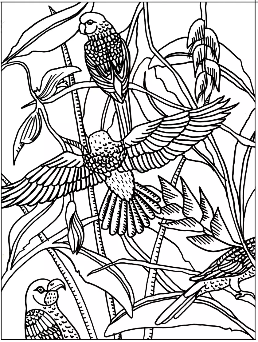 Claire Astigarraga - artiste plasticienne, sérigraphe, dessinatrice et navigatrice.