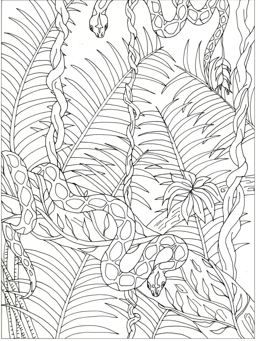 Claire Astigarraga - artiste plasticienne, sérigraphe, dessinatrice et navigatrice.