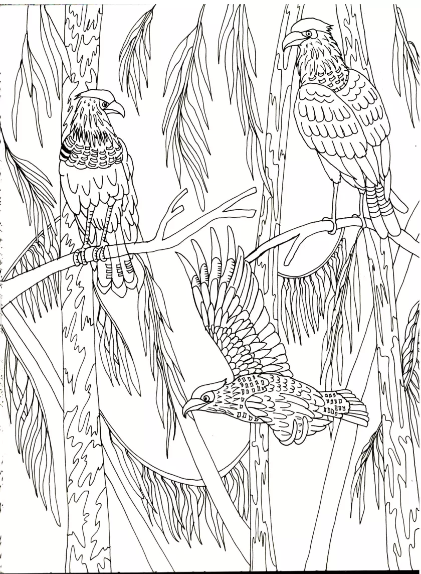 Claire Astigarraga - artiste plasticienne, sérigraphe, dessinatrice et navigatrice.