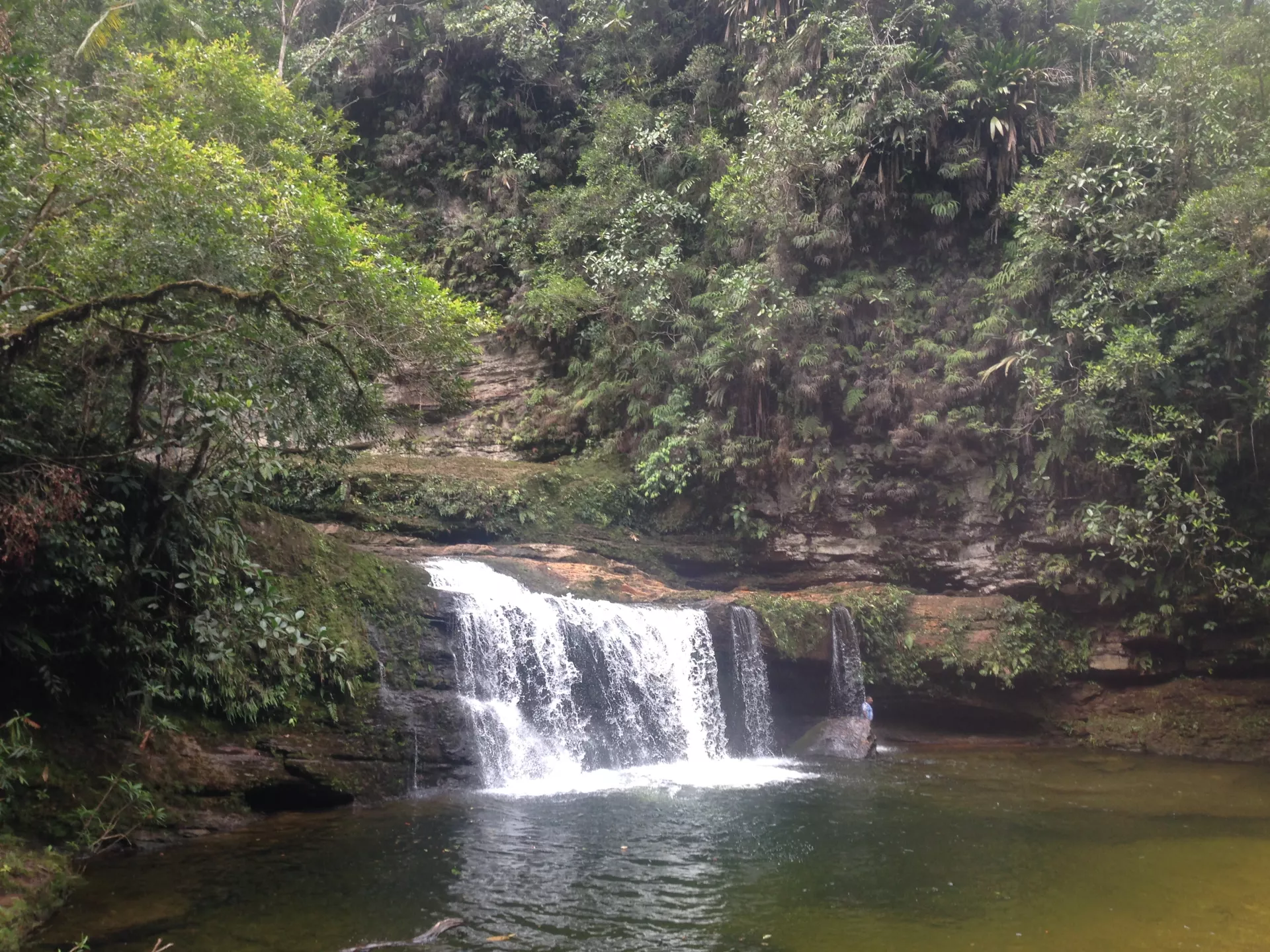 Claire Astigarraga - artiste plasticienne, sérigraphe, dessinatrice et navigatrice.