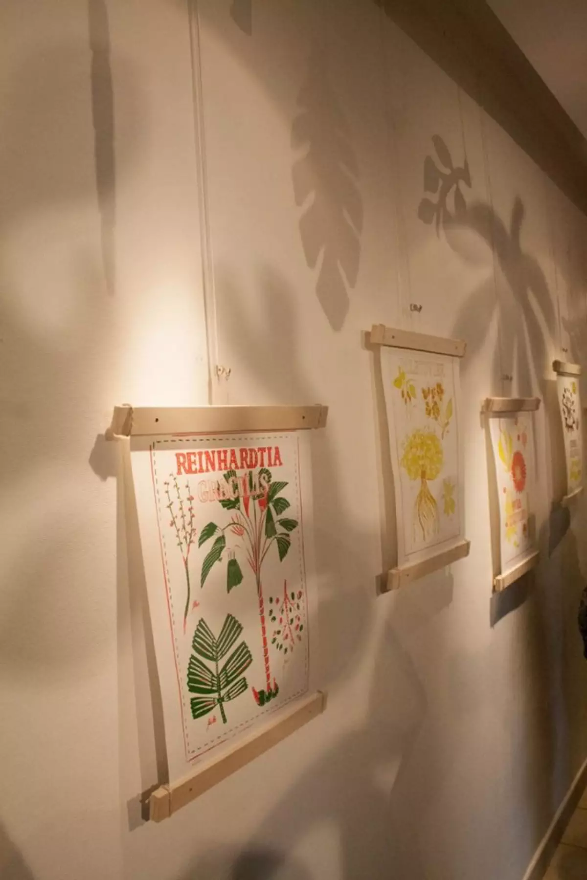 Claire Astigarraga - artiste plasticienne, sérigraphe, dessinatrice et navigatrice.