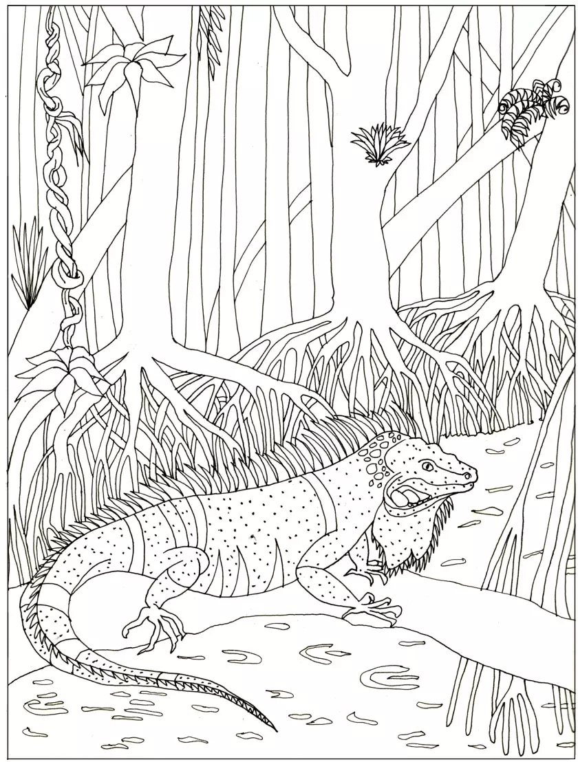 Claire Astigarraga - artiste plasticienne, sérigraphe, dessinatrice et navigatrice.