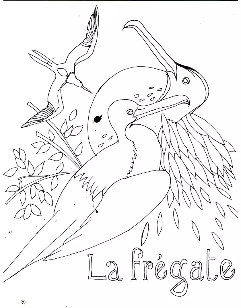 Claire Astigarraga - artiste plasticienne, sérigraphe, dessinatrice et navigatrice.